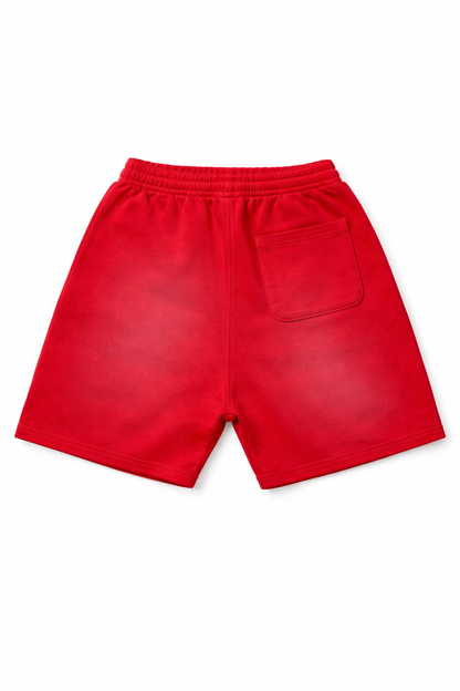 Vault Money Logo Shorts
