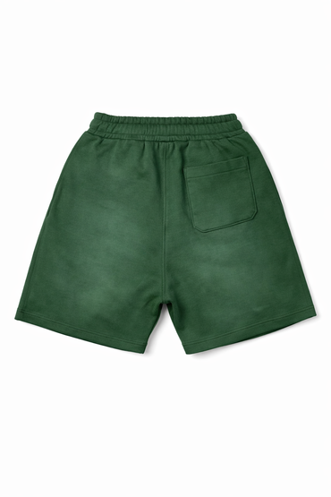 Vault Money Logo Shorts