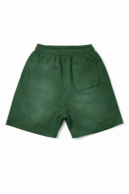 Vault Money Logo Shorts